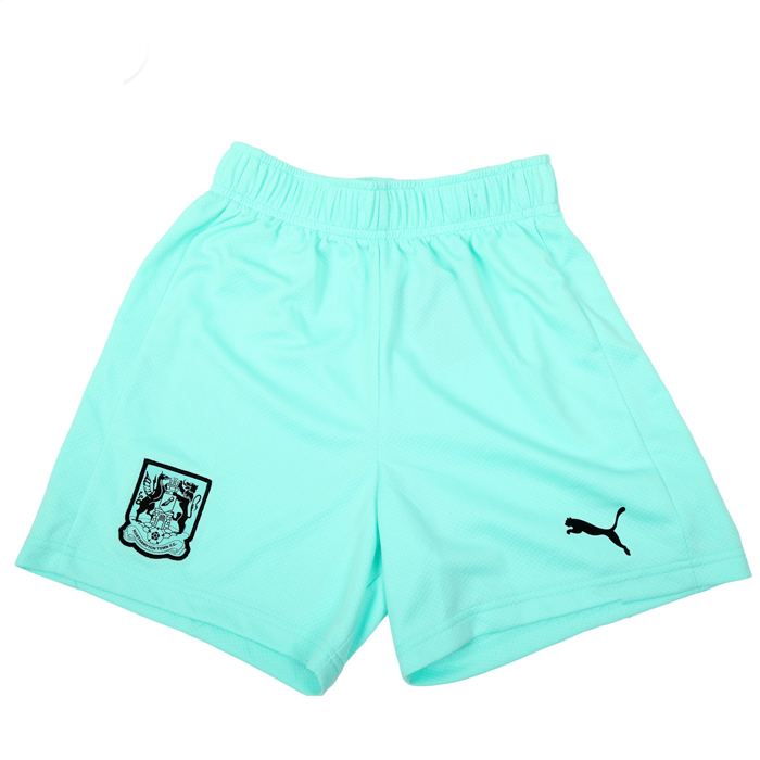PUMA 23/24 Junior Third Shorts Photo